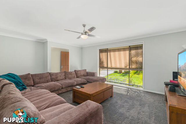 29 Boab Street ELANORA QLD 4221