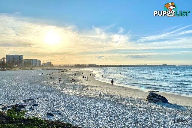 2/37 Miles Street COOLANGATTA QLD 4225