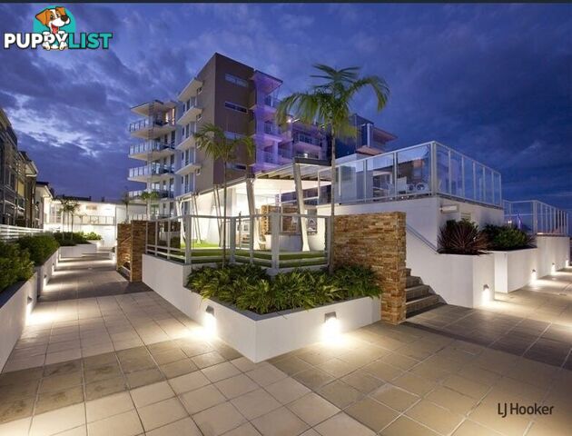 1211/10 Fifth Avenue PALM BEACH QLD 4221