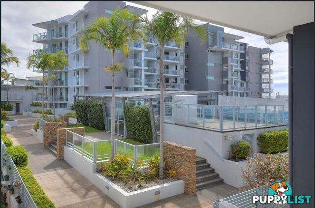 1211/10 Fifth Avenue PALM BEACH QLD 4221