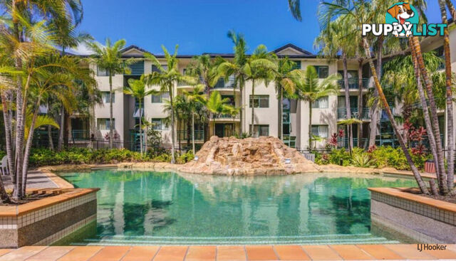 109/955 Gold Coast Highway PALM BEACH QLD 4221