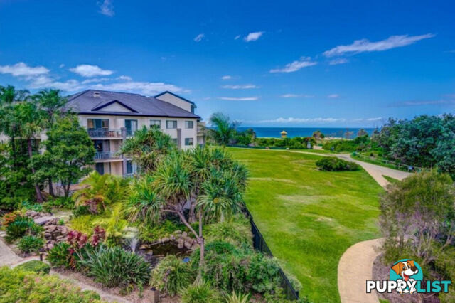 109/955 Gold Coast Highway PALM BEACH QLD 4221