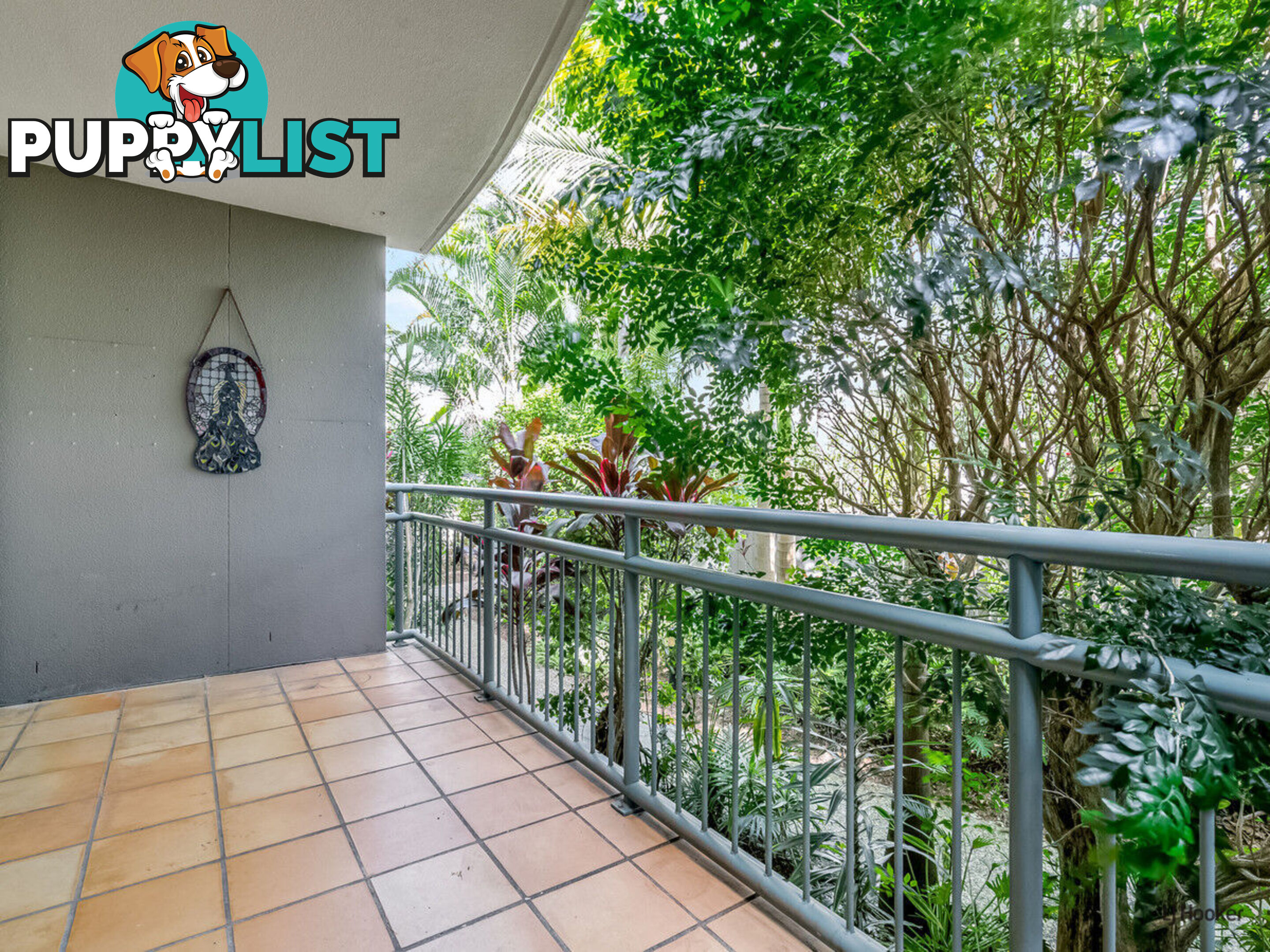 109/955 Gold Coast Highway PALM BEACH QLD 4221