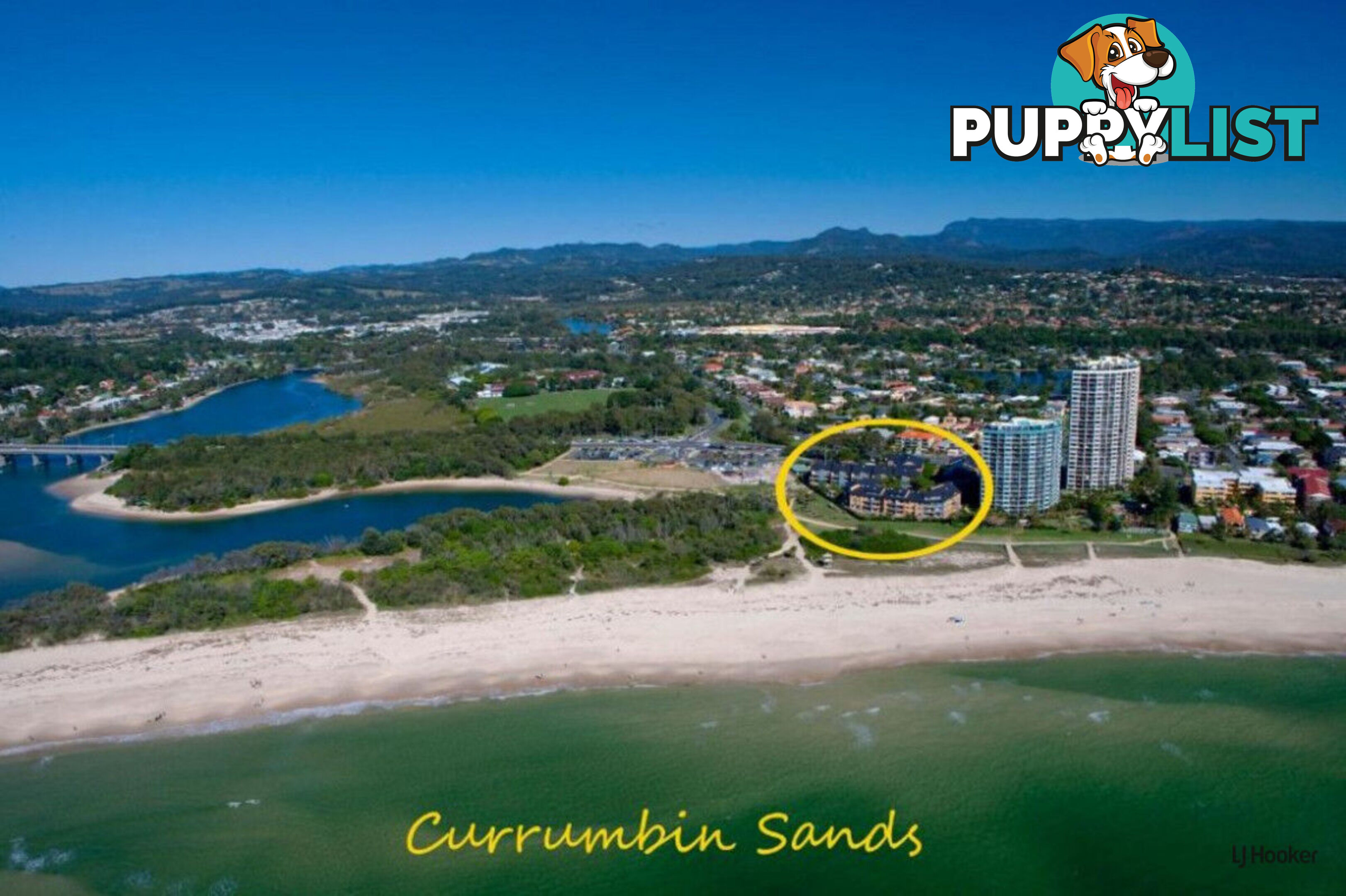 109/955 Gold Coast Highway PALM BEACH QLD 4221