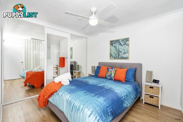 1/1187 Gold Coast Highway PALM BEACH QLD 4221