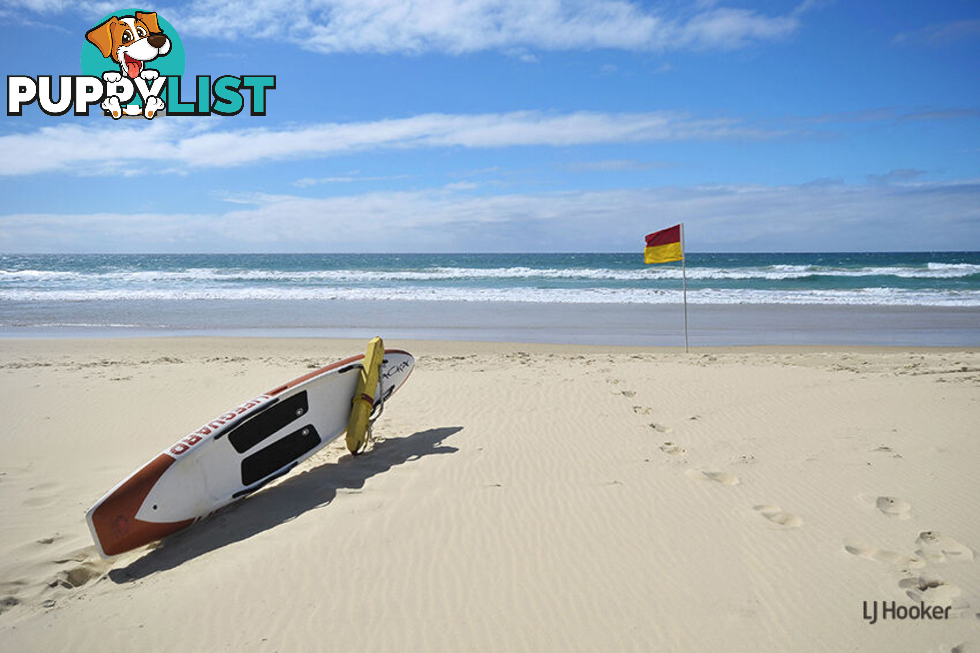 4/1453 Gold Coast Highway PALM BEACH QLD 4221