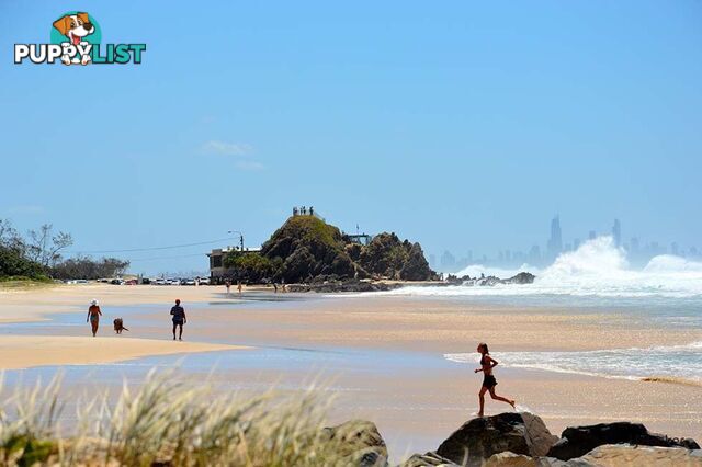 2/738 Pacific Parade CURRUMBIN QLD 4223
