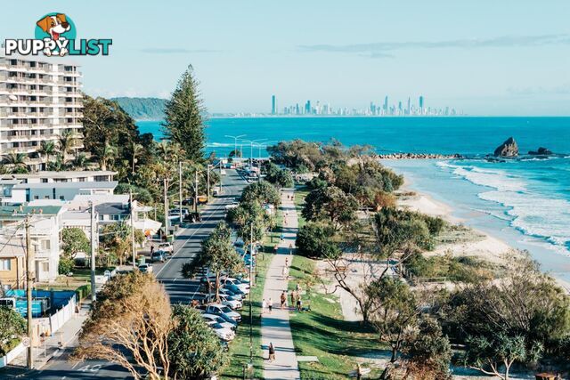 2/738 Pacific Parade CURRUMBIN QLD 4223