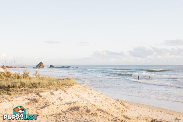 2/738 Pacific Parade CURRUMBIN QLD 4223