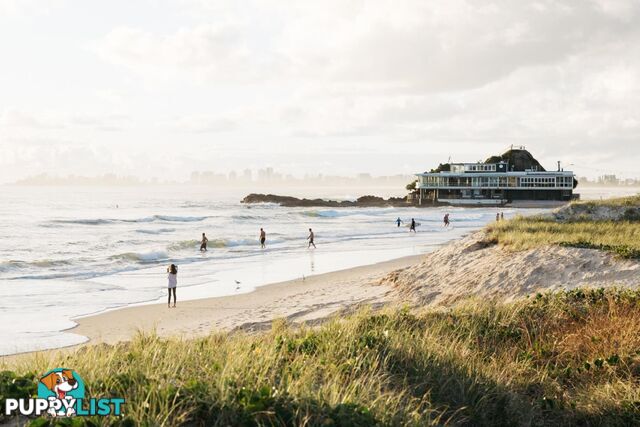 2/738 Pacific Parade CURRUMBIN QLD 4223