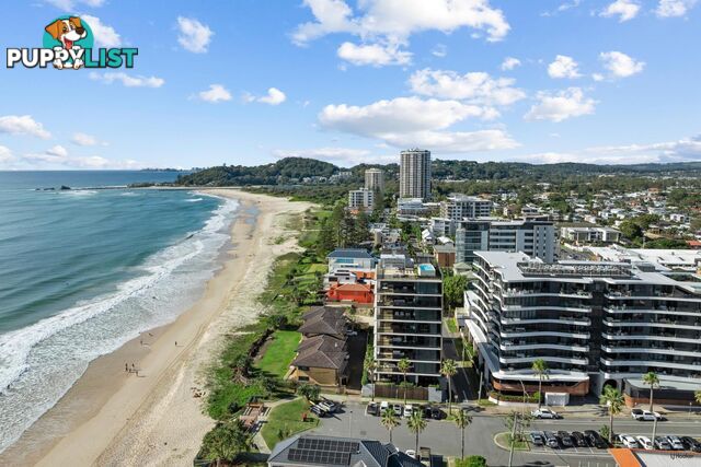 709/6 Palm Beach Avenue PALM BEACH QLD 4221
