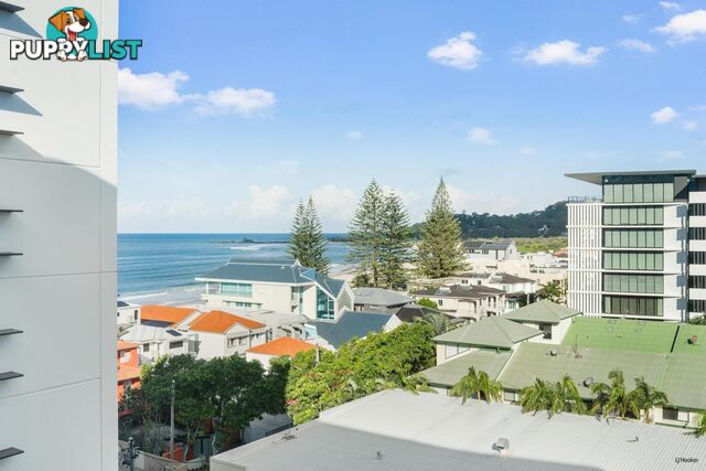 709/6 Palm Beach Avenue PALM BEACH QLD 4221
