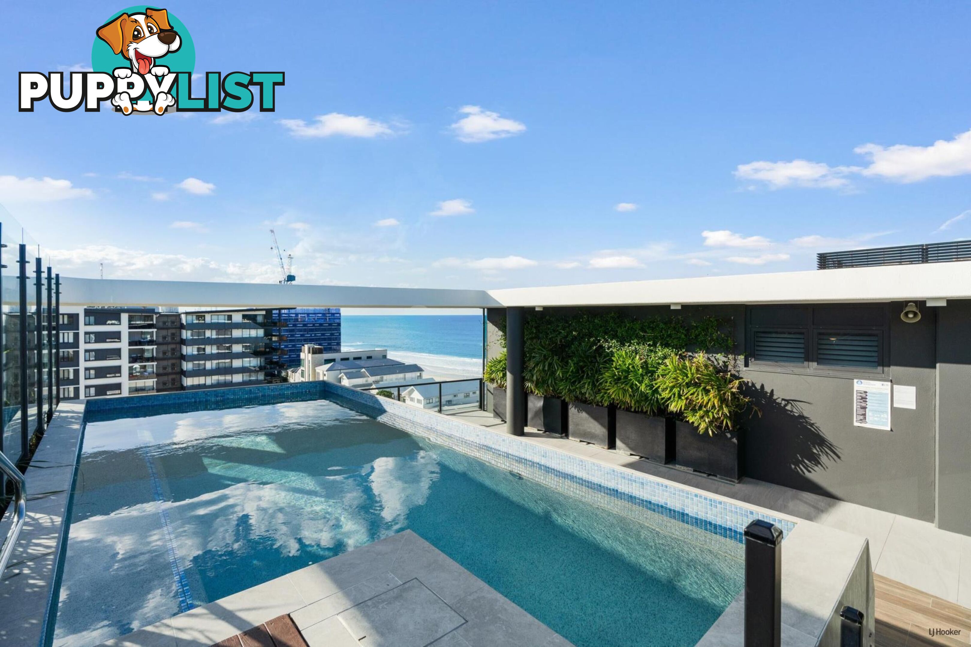 709/6 Palm Beach Avenue PALM BEACH QLD 4221