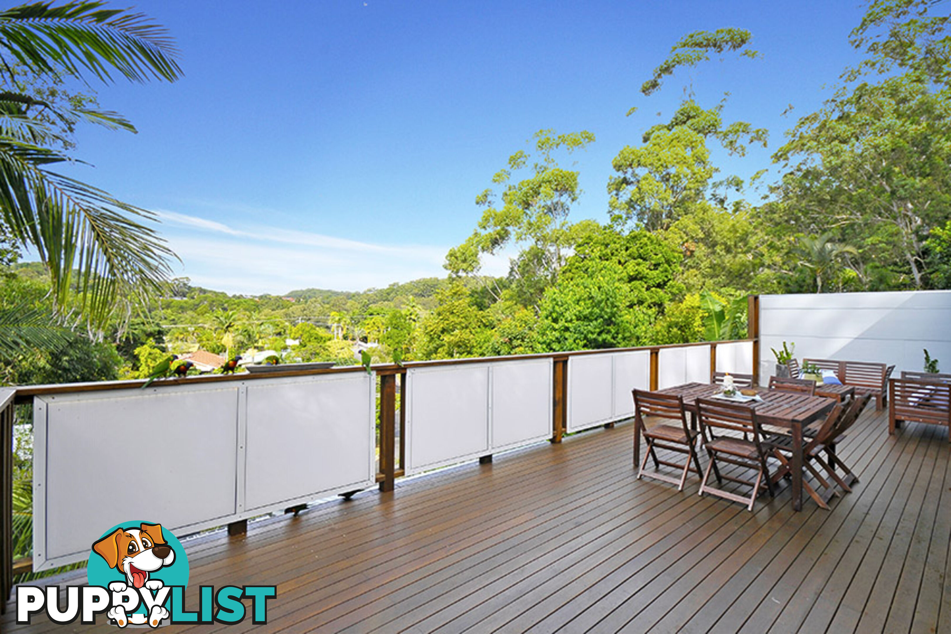 9 Walsh Street CURRUMBIN QLD 4223