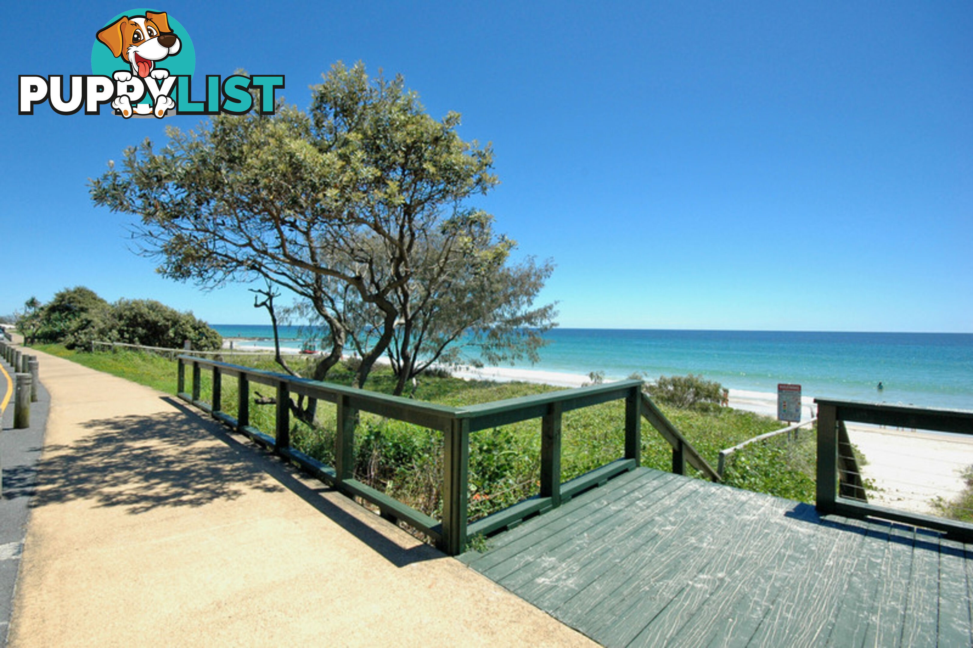 9 Walsh Street CURRUMBIN QLD 4223