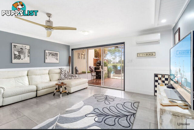 42/2-10 Coolgardie Street ELANORA QLD 4221
