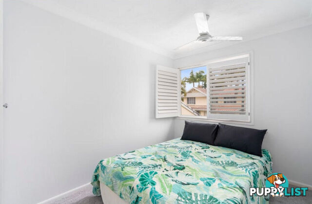 42/2-10 Coolgardie Street ELANORA QLD 4221