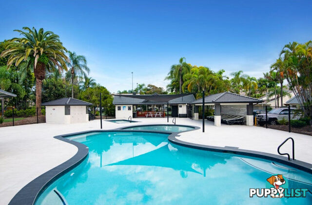 42/2-10 Coolgardie Street ELANORA QLD 4221