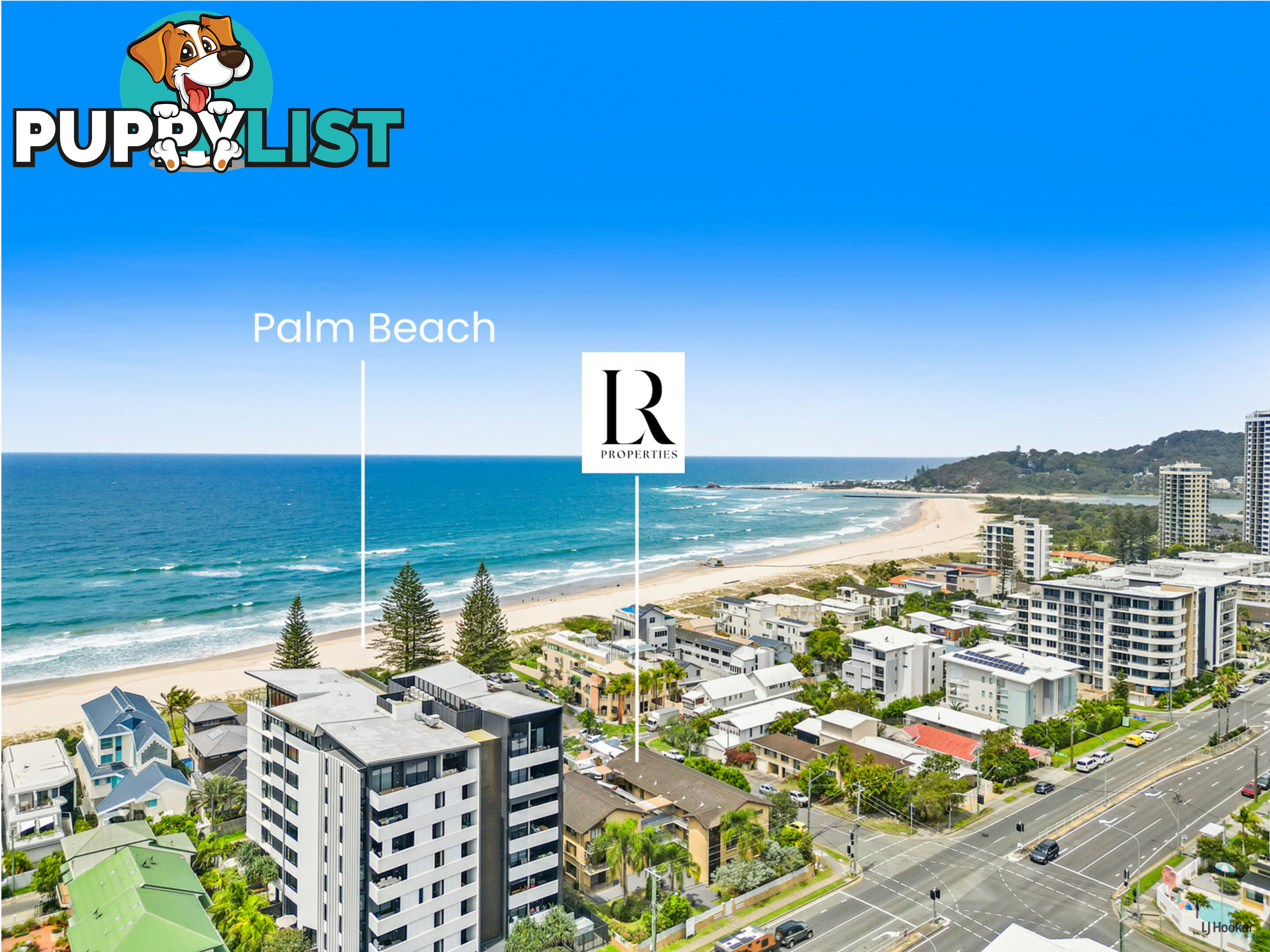 8/1031 Gold Coast Highway PALM BEACH QLD 4221