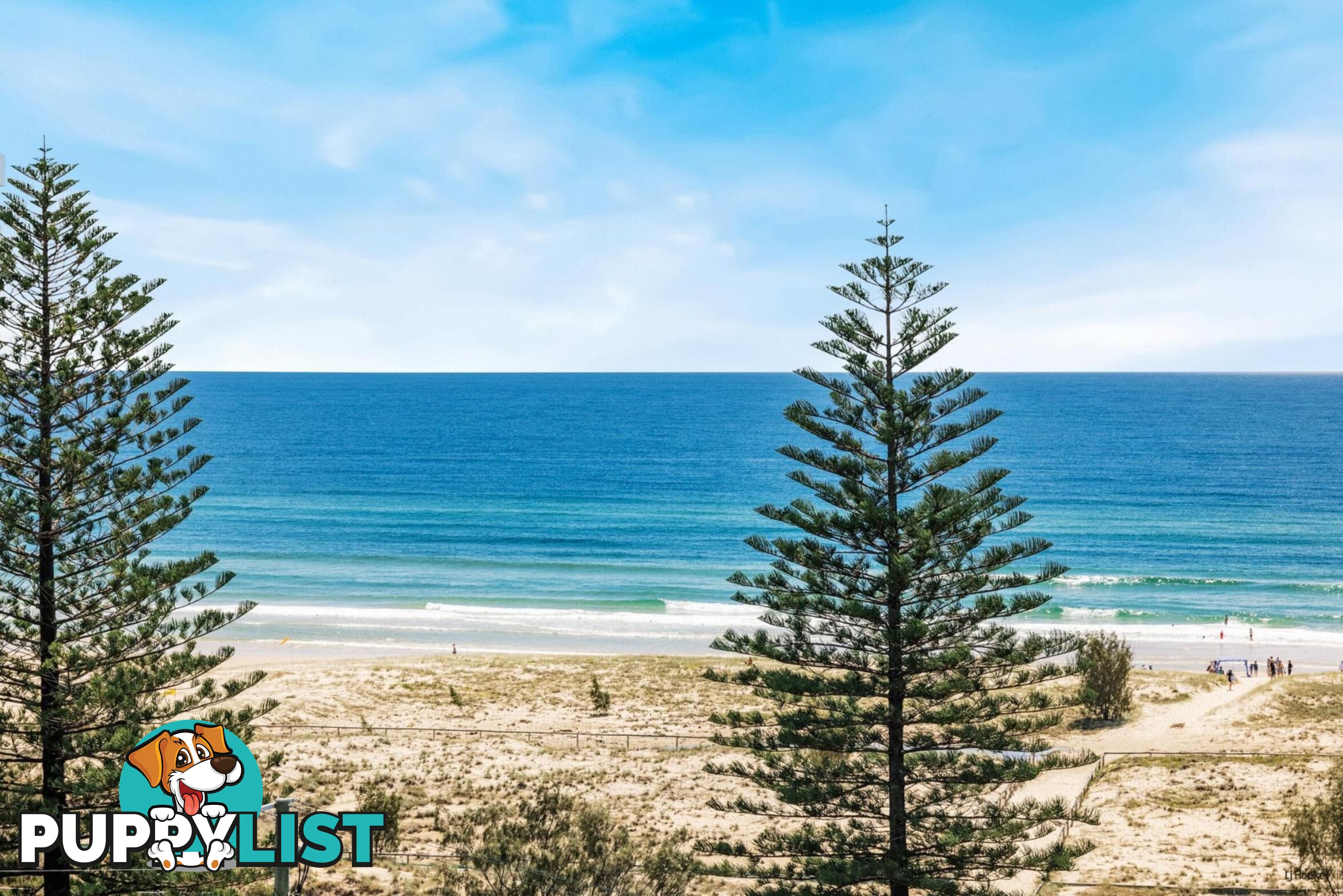 901/10 Coyne Street COOLANGATTA QLD 4225