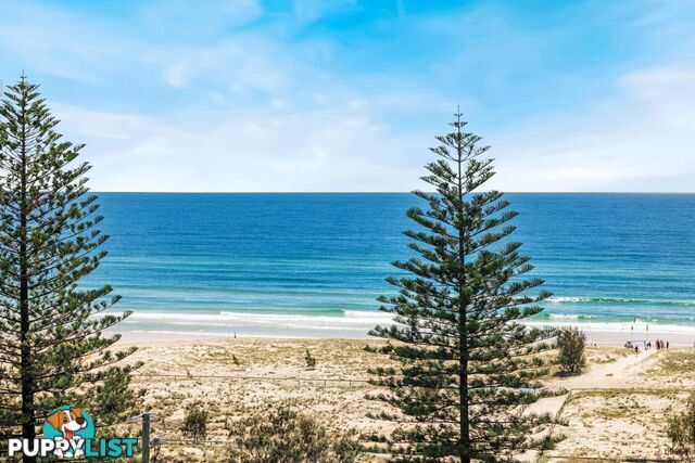 901/10 Coyne Street COOLANGATTA QLD 4225