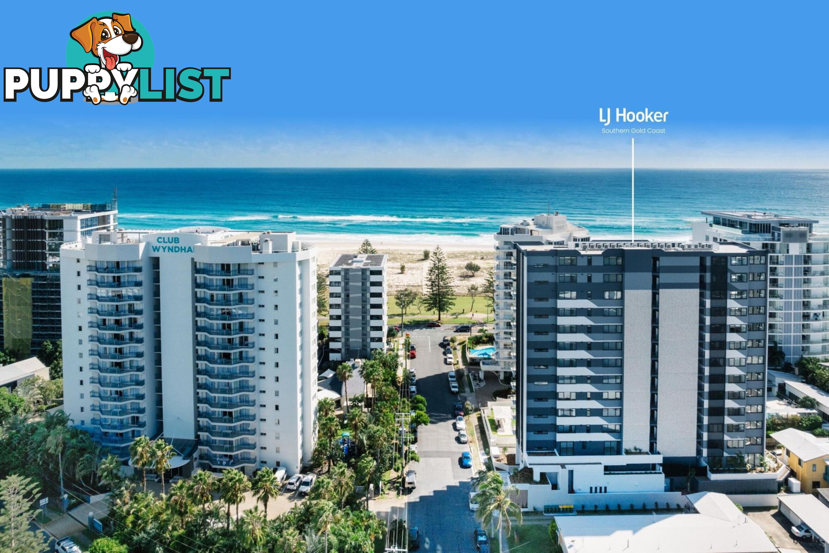 901/10 Coyne Street COOLANGATTA QLD 4225