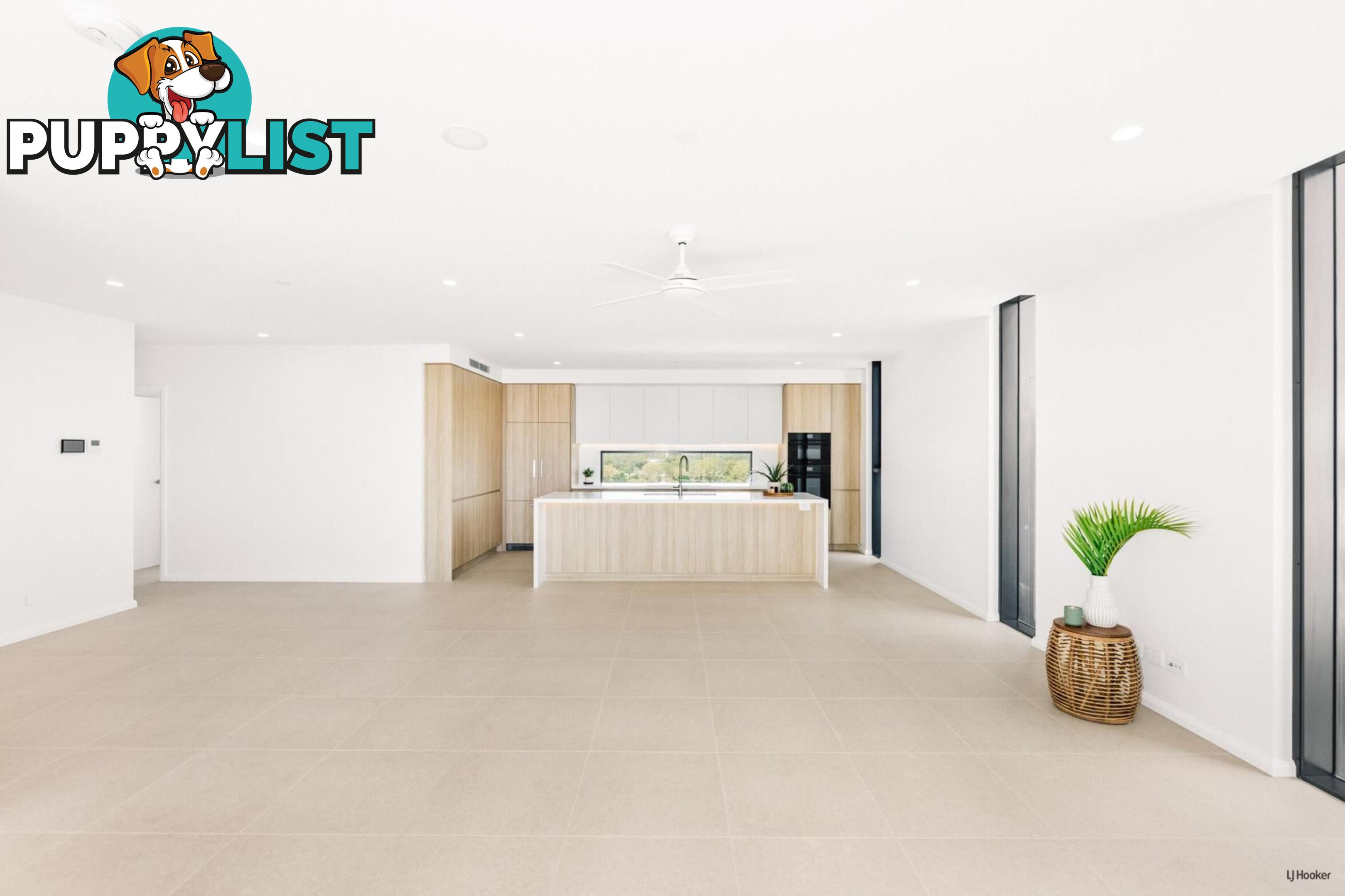 901/10 Coyne Street COOLANGATTA QLD 4225
