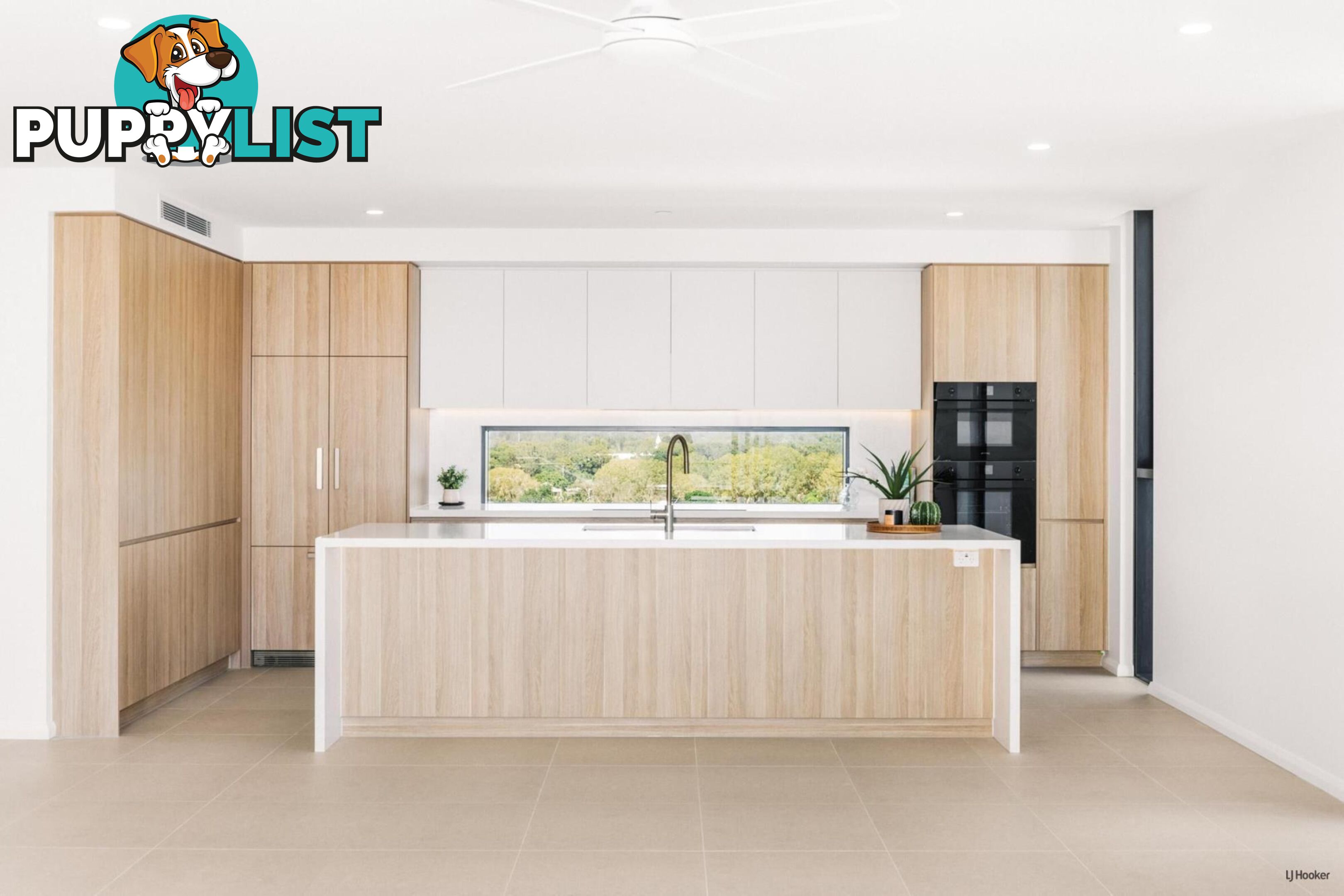901/10 Coyne Street COOLANGATTA QLD 4225