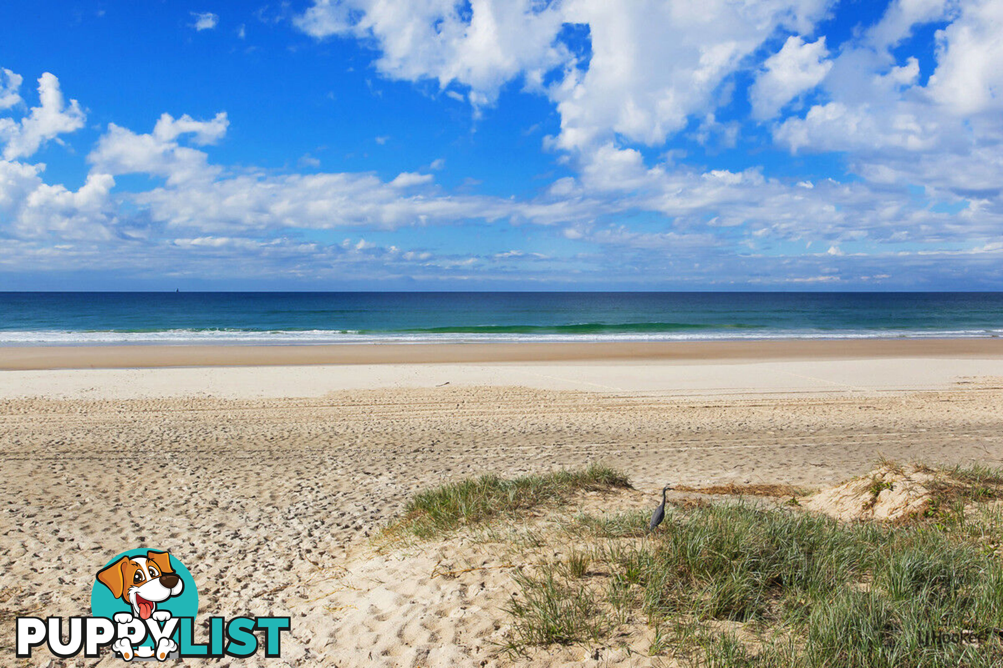 1611/10 Fifth Avenue PALM BEACH QLD 4221