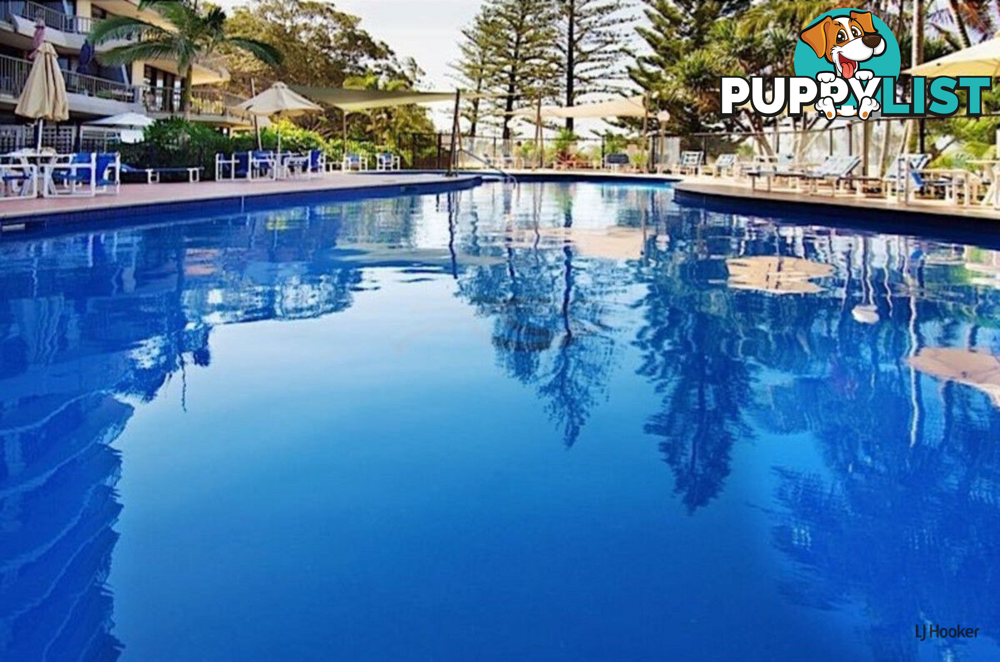 3F/828 Pacific Parade CURRUMBIN QLD 4223