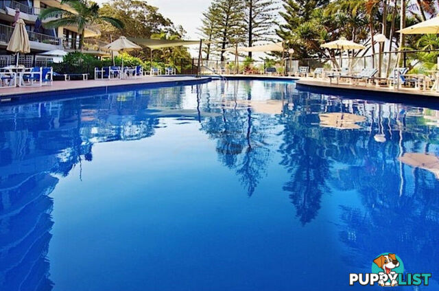 3F/828 Pacific Parade CURRUMBIN QLD 4223