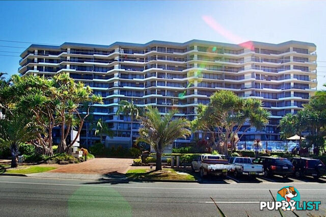 3F/828 Pacific Parade CURRUMBIN QLD 4223