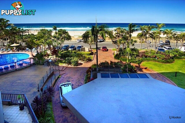 3F/828 Pacific Parade CURRUMBIN QLD 4223