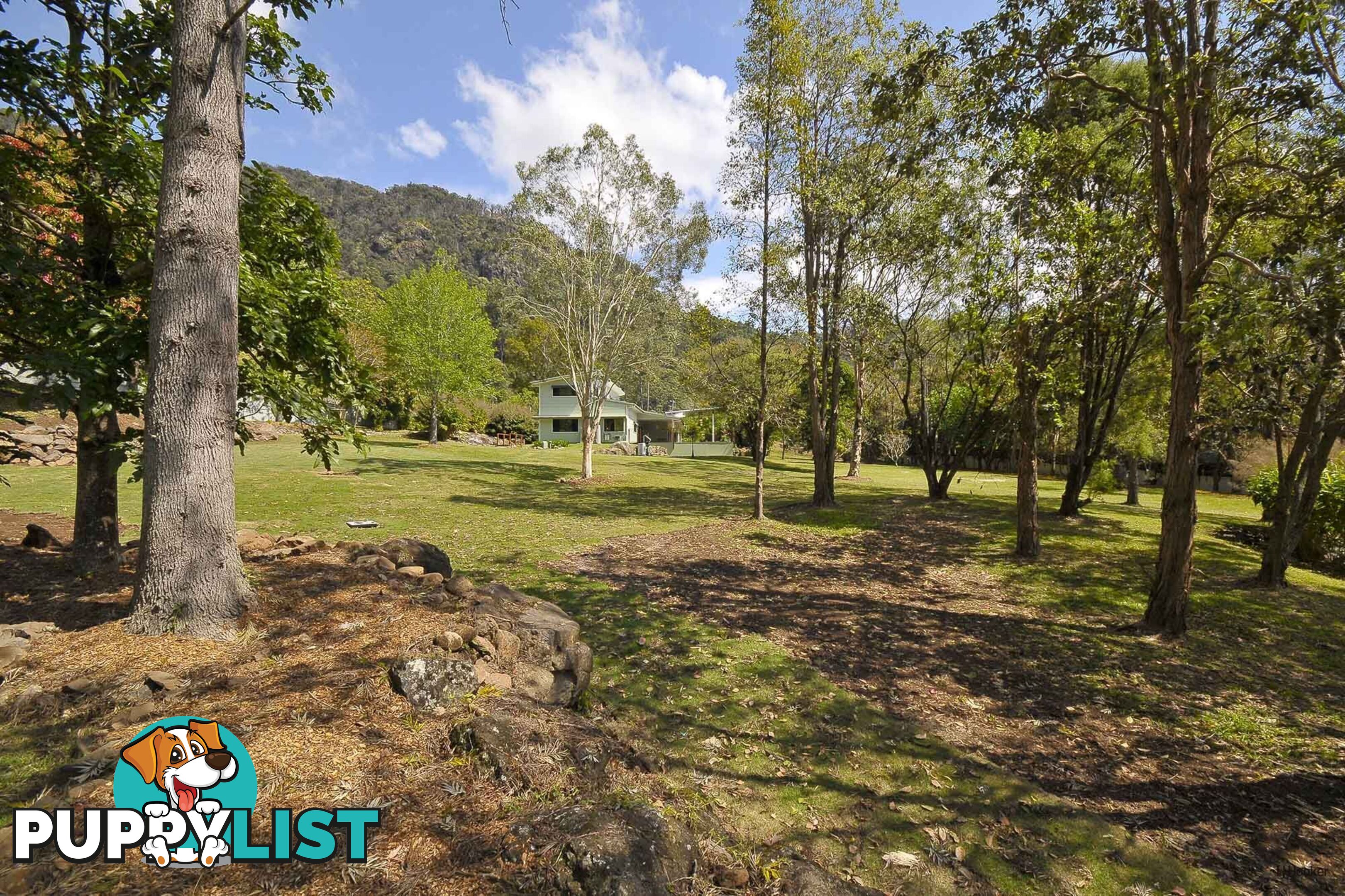 421 Petsch Creek Road TALLEBUDGERA VALLEY QLD 4228