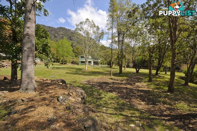 421 Petsch Creek Road TALLEBUDGERA VALLEY QLD 4228