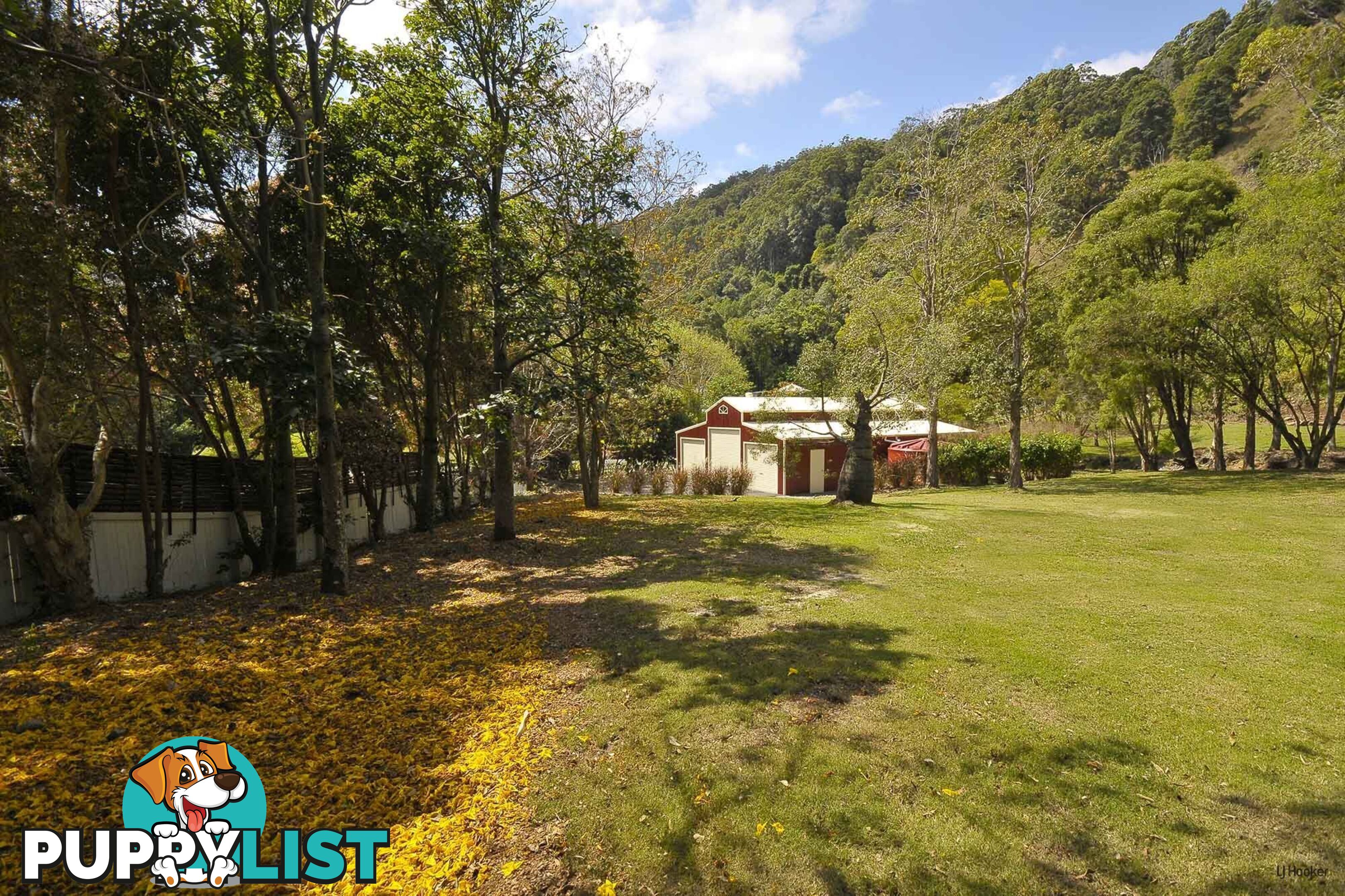 421 Petsch Creek Road TALLEBUDGERA VALLEY QLD 4228