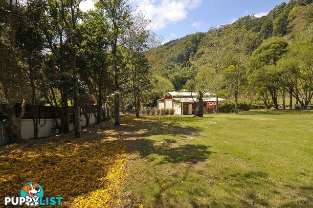 421 Petsch Creek Road TALLEBUDGERA VALLEY QLD 4228