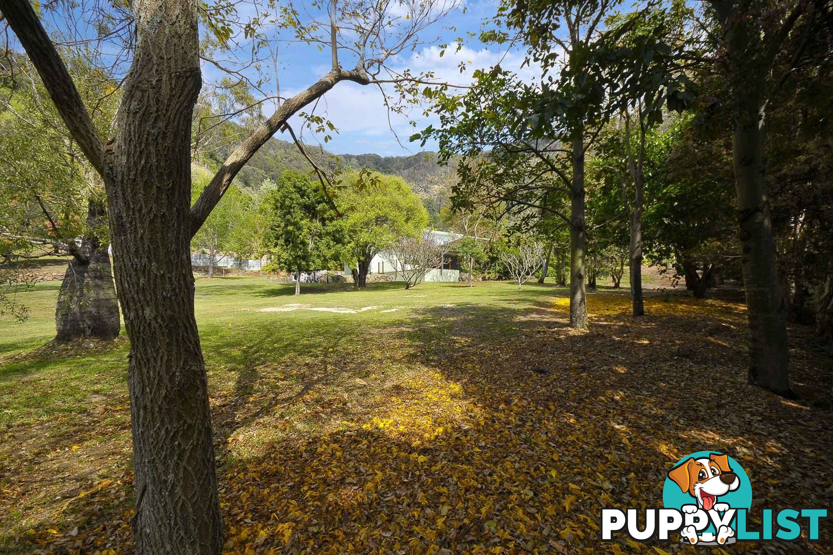 421 Petsch Creek Road TALLEBUDGERA VALLEY QLD 4228