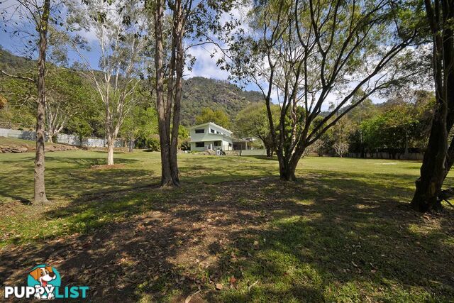 421 Petsch Creek Road TALLEBUDGERA VALLEY QLD 4228