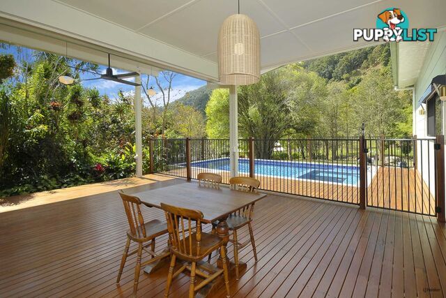 421 Petsch Creek Road TALLEBUDGERA VALLEY QLD 4228