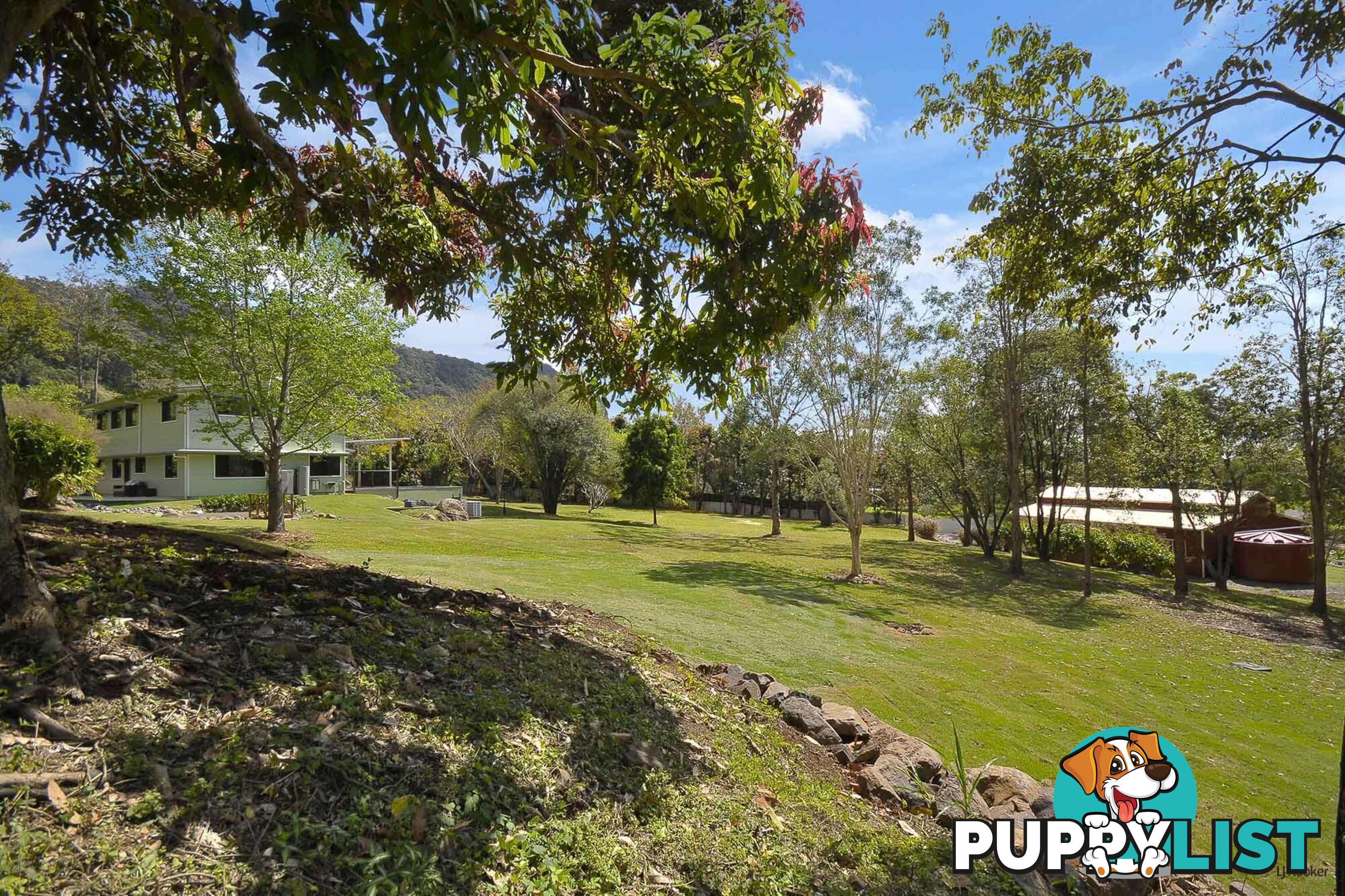 421 Petsch Creek Road TALLEBUDGERA VALLEY QLD 4228