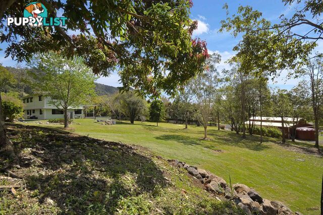 421 Petsch Creek Road TALLEBUDGERA VALLEY QLD 4228