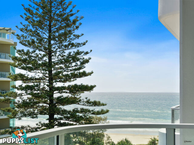 504/4 Twenty First Avenue PALM BEACH QLD 4221