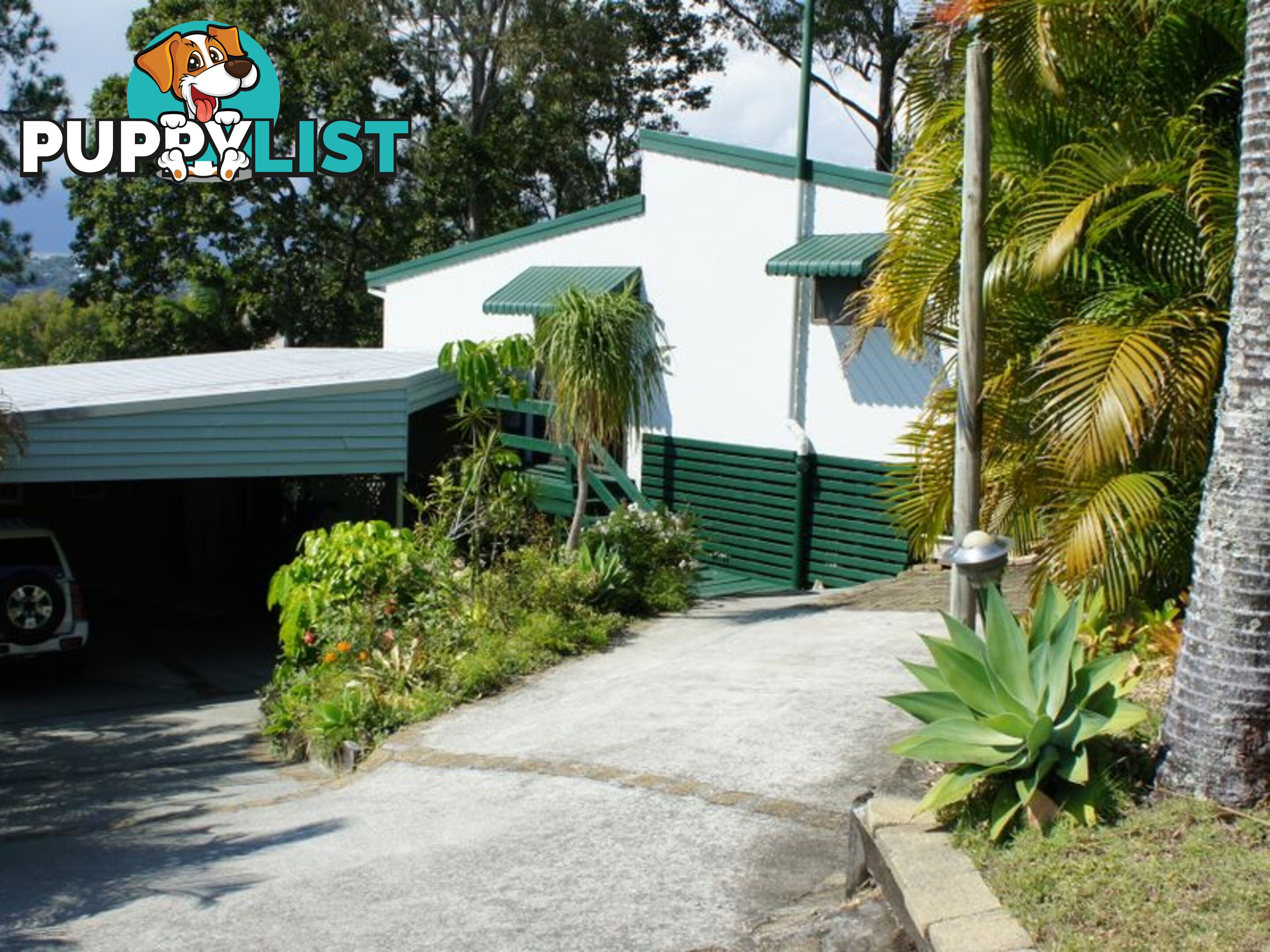 4B Ponderosa Court ELANORA QLD 4221