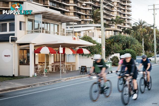 1/738 Pacific Parade CURRUMBIN QLD 4223
