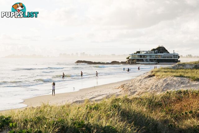 1/738 Pacific Parade CURRUMBIN QLD 4223