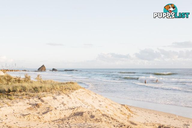 1/738 Pacific Parade CURRUMBIN QLD 4223