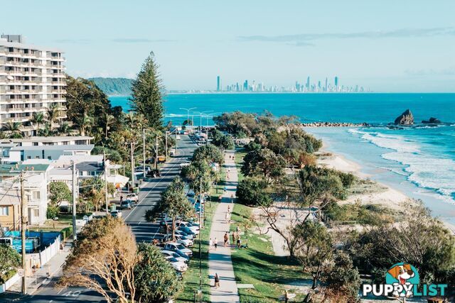 1/738 Pacific Parade CURRUMBIN QLD 4223