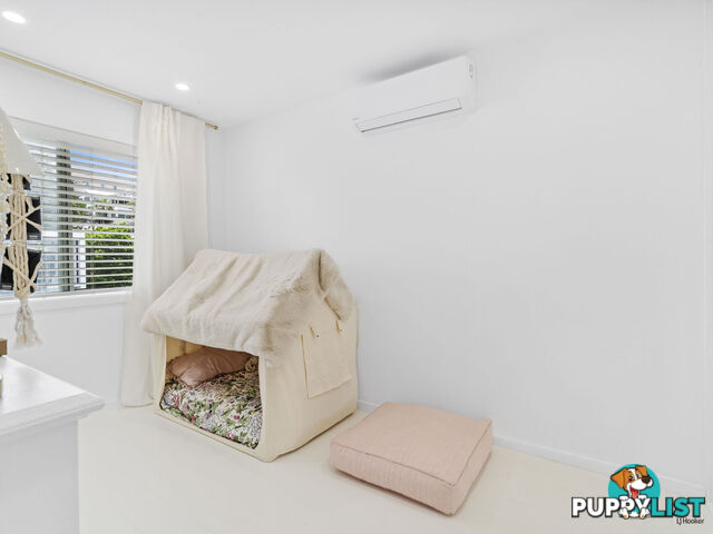 5/802 Pacific Parade CURRUMBIN QLD 4223