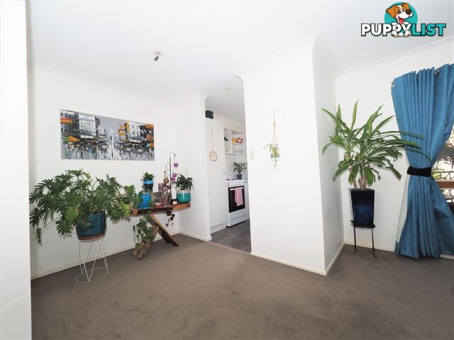 7/1 Rolan Court PALM BEACH QLD 4221